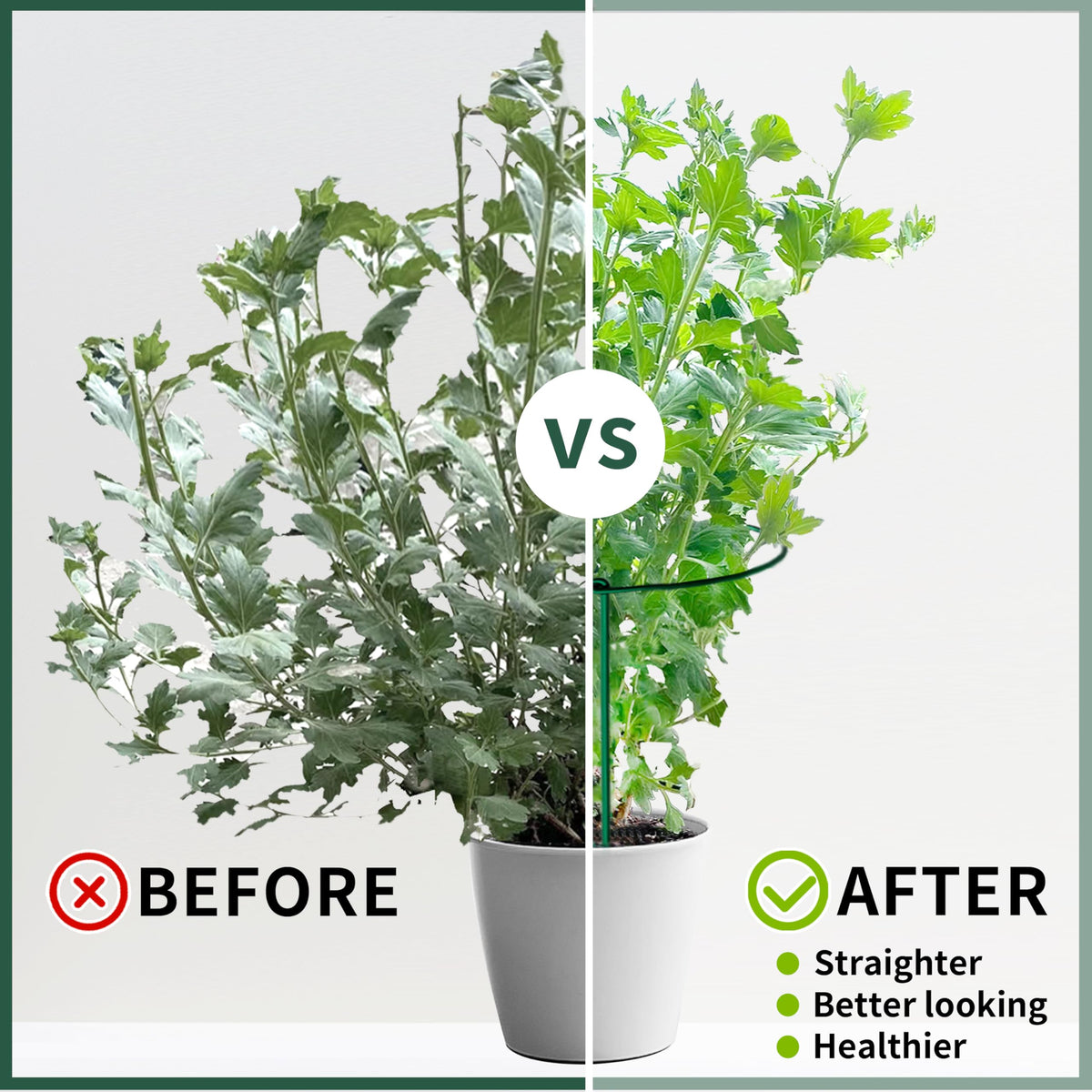 SORANGEUN plant supports for tomatoes, cucumbers, and peppers in any garden