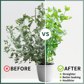 SORANGEUN plant supports for tomatoes, cucumbers, and peppers in any garden