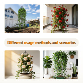 SORANGEUN plant support for roses and tomatoes in a garden