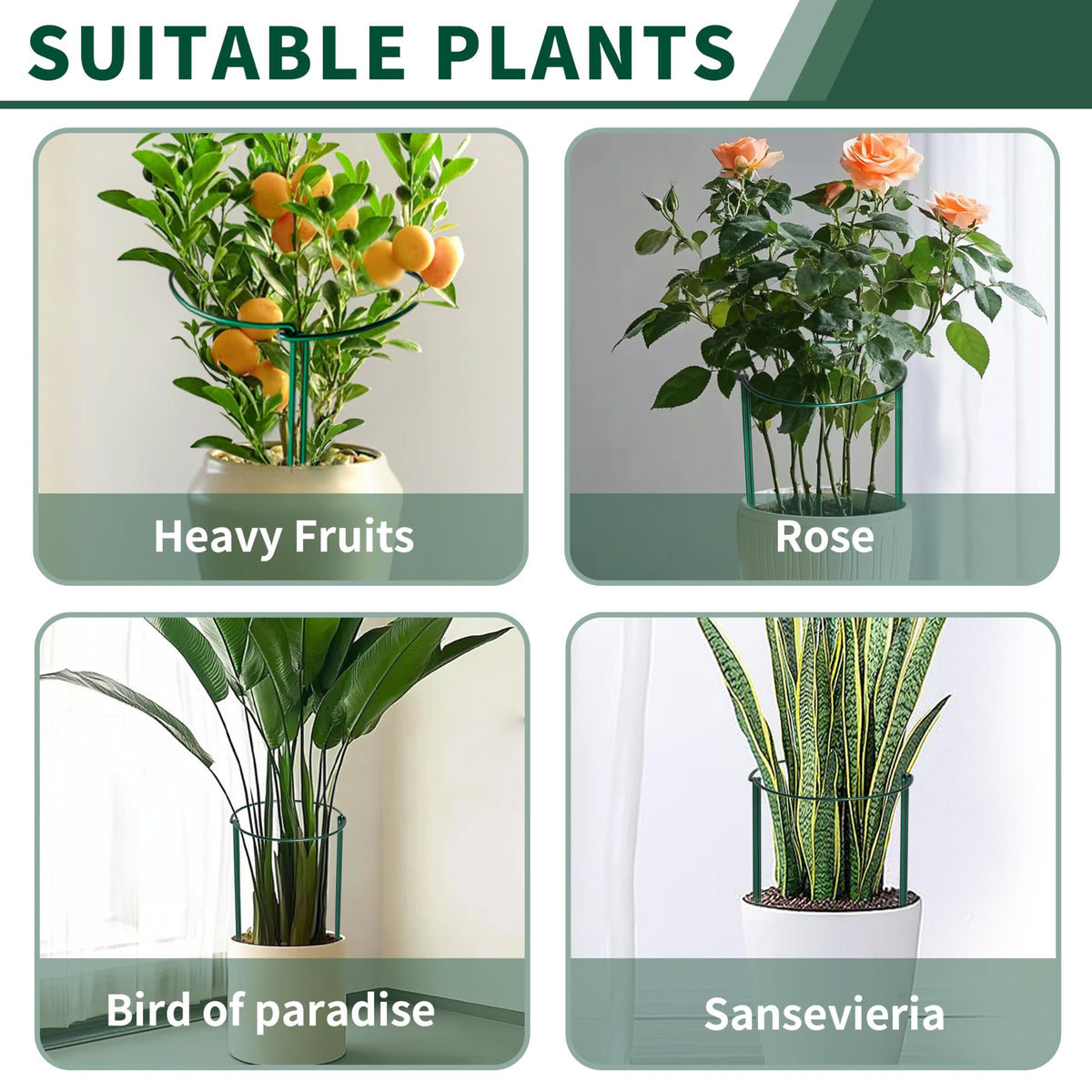 SORANGEUN anti rust coating boosts durability across seasons.
