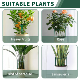 SORANGEUN anti rust coating boosts durability across seasons.