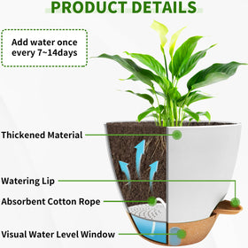 SORANGEUN self-watering design enables 14 days of automatic watering.