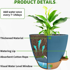 SORANGEUN 10-inch fiddle-leaf self-watering pot aids steady moisture