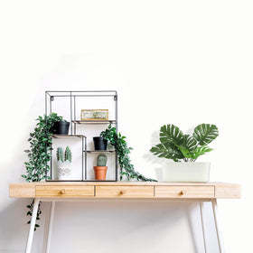 SORANGEUN set with matching drip trays for a cohesive display.