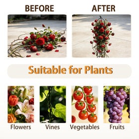 SORANGEUN space-saving vertical gardening solution for small spaces