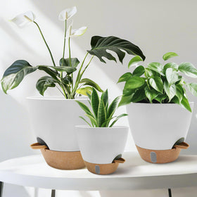 SORANGEUN stack-nest design saves storage space when pots are stacked.