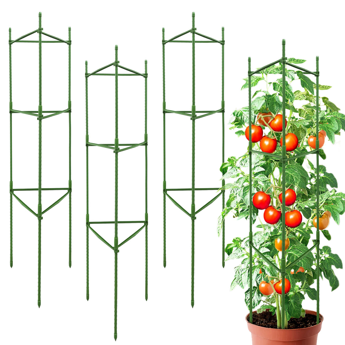 SORANGEUN 48-inch triangle tomato cage supports heavy plants in the garden.