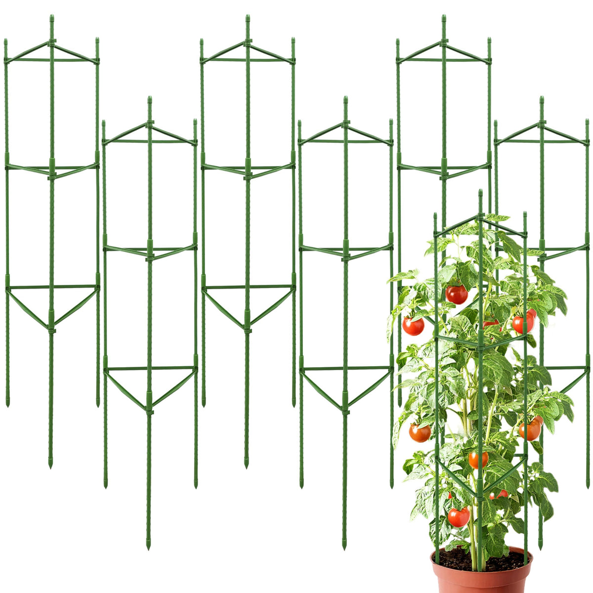 SORANGEUN tomato cage 48in triangle structure offers stable support for tall tomato plants.