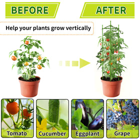 SORANGEUN versatile cages suit tomatoes, cucumbers, peppers, and beans.
