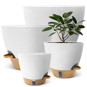 SORANGEUN visual water window shows exact water level for easy plant care.