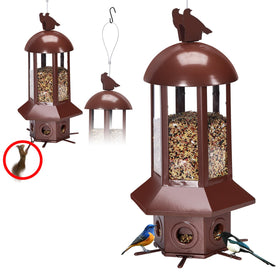 Sorflife professional squirrel-proof bird feeder outdoors, protecting birds.