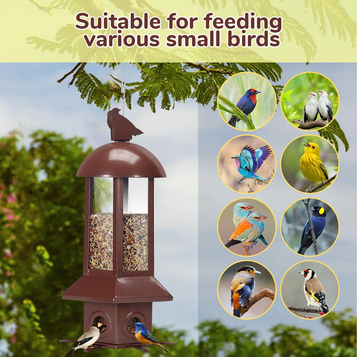 Sorflife feeder has six openings for multiple birds at once.