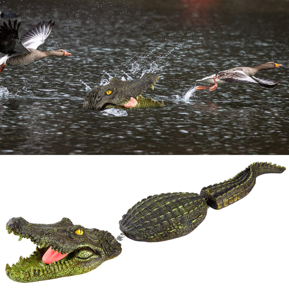 Sotiff floating alligator decoy in pool with lifelike realism.