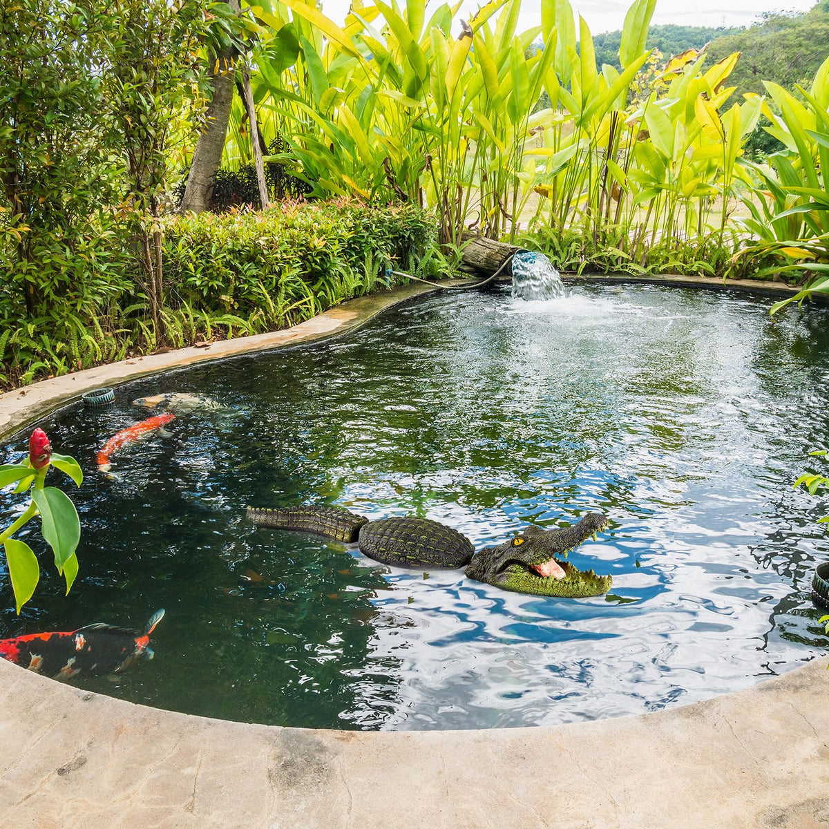 Sotiff pond and garden decorative alligator decoy adds realism.