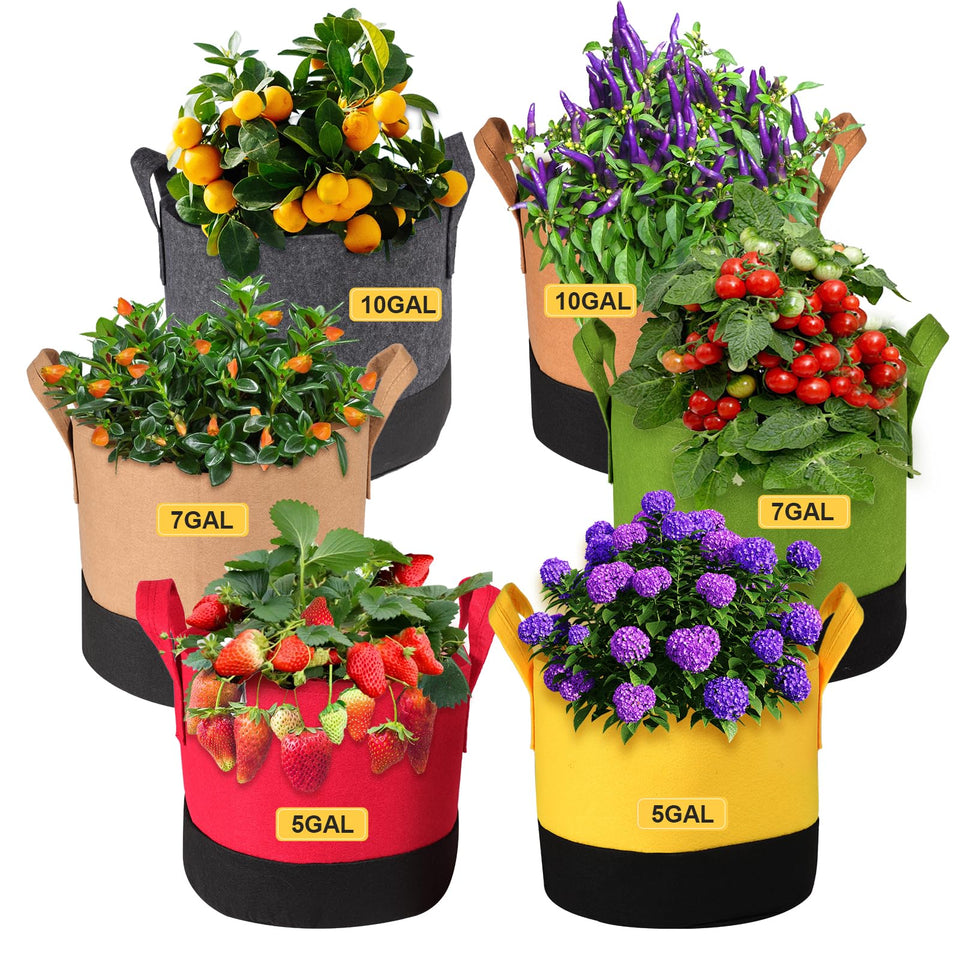 SouilGoal grow bags in colorful multi-size design for diverse plantings and visual appeal.