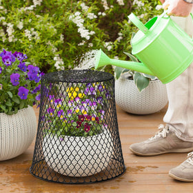 SOUJOY animal protection in garden reduces disturbance while watering.