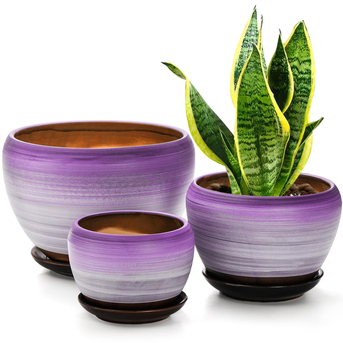 SOUJOY 7-inch purple round ceramic pot with drainage, ideal for statement succulents.