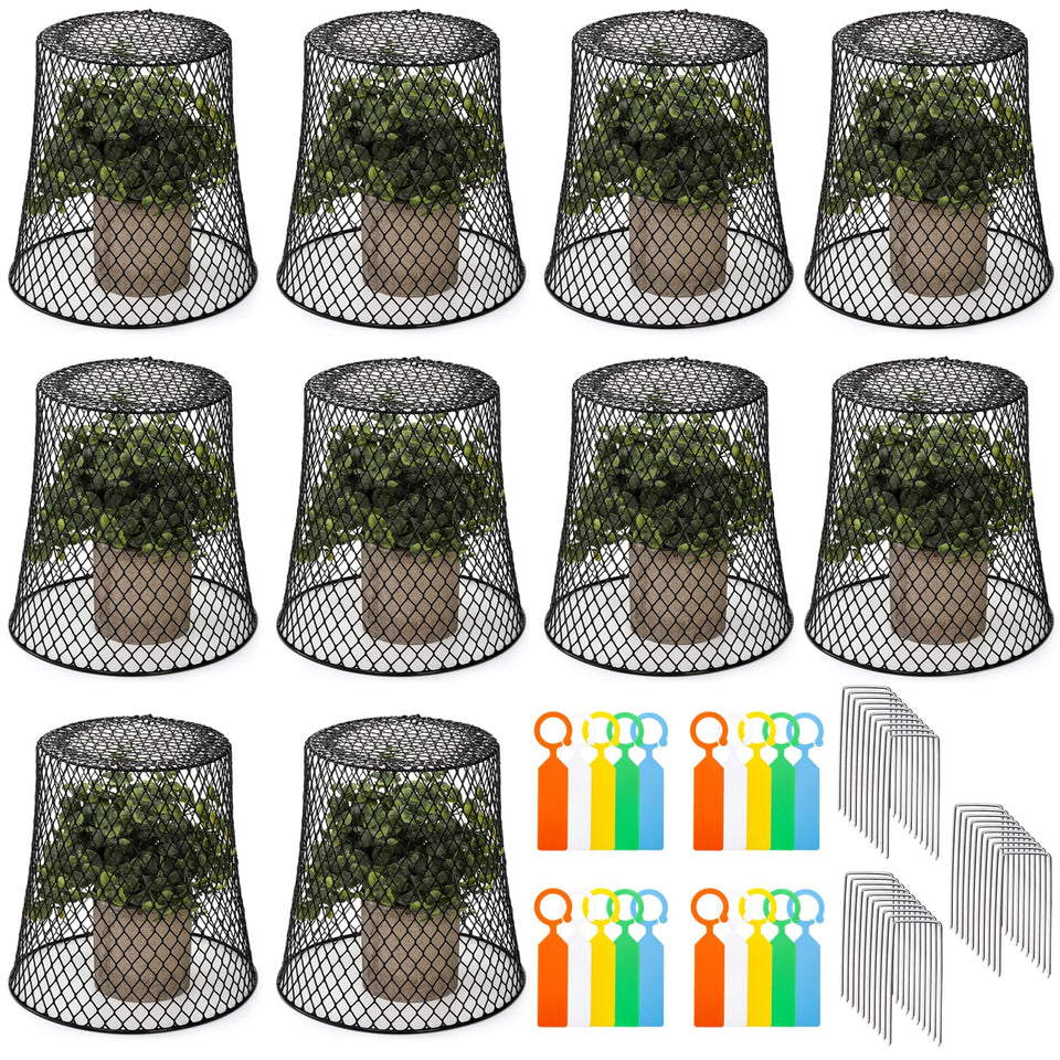 SOUJOY chicken-wire plant cover 8x8 protects seedlings from rabbits and birds.