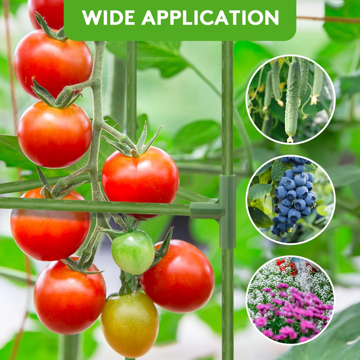 SoundValue complete growing kit includes everything needed to start training vines.