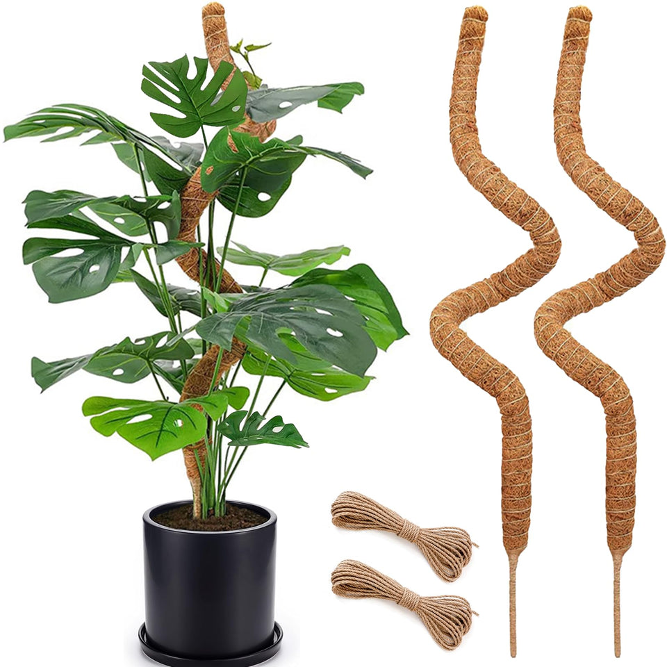 Soupiar 48-inch moss pole in pot supports large climbing plants for fuller growth.