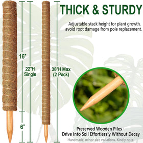 Soupiar anti-corrosion wood stake insert enables quick, stable installation.