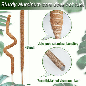 Soupiar bendable moss pole in spiral shape adapts to plant growth.