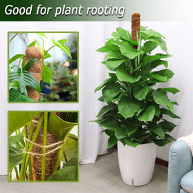 Soupiar bendable moss pole adapts to heart, arch, or spiral shapes.