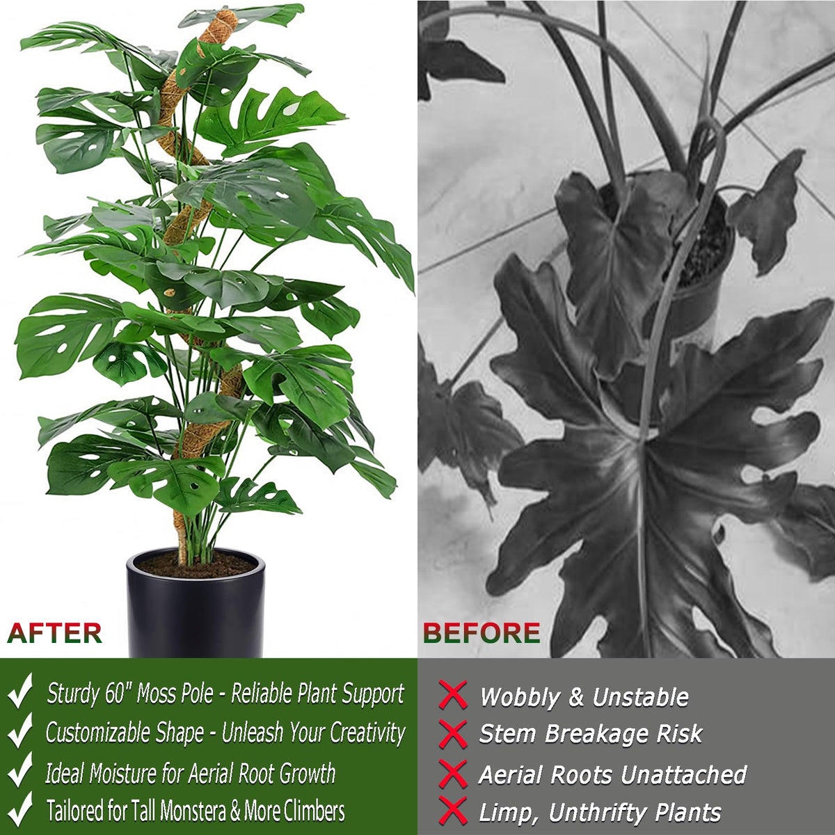Soupiar coconut coir moss pole retains moisture to help aerial roots thrive.