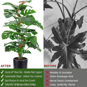 Soupiar coconut coir moss pole retains moisture to help aerial roots thrive.