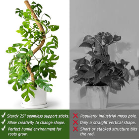Soupiar easy plant support setup with twistable pole to shape around your plant