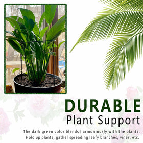 Soupiar stake supporting heavy blooms like peonies to prevent droop