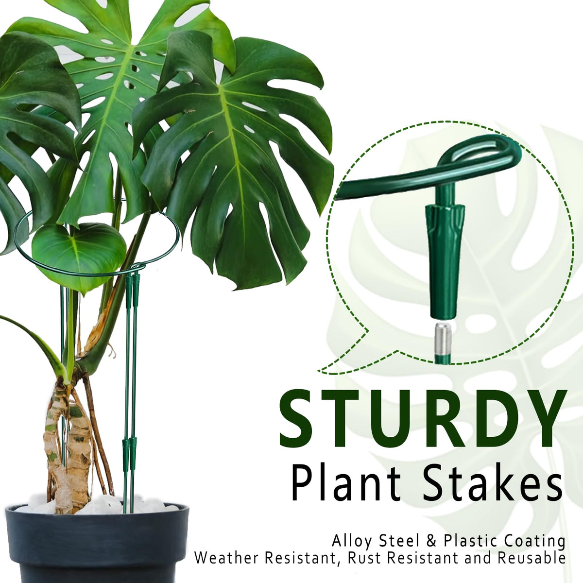 Soupiar heavy-duty alloy steel stake withstands dense foliage in outdoor gardens.
