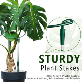Soupiar heavy-duty alloy steel stake withstands dense foliage in outdoor gardens.