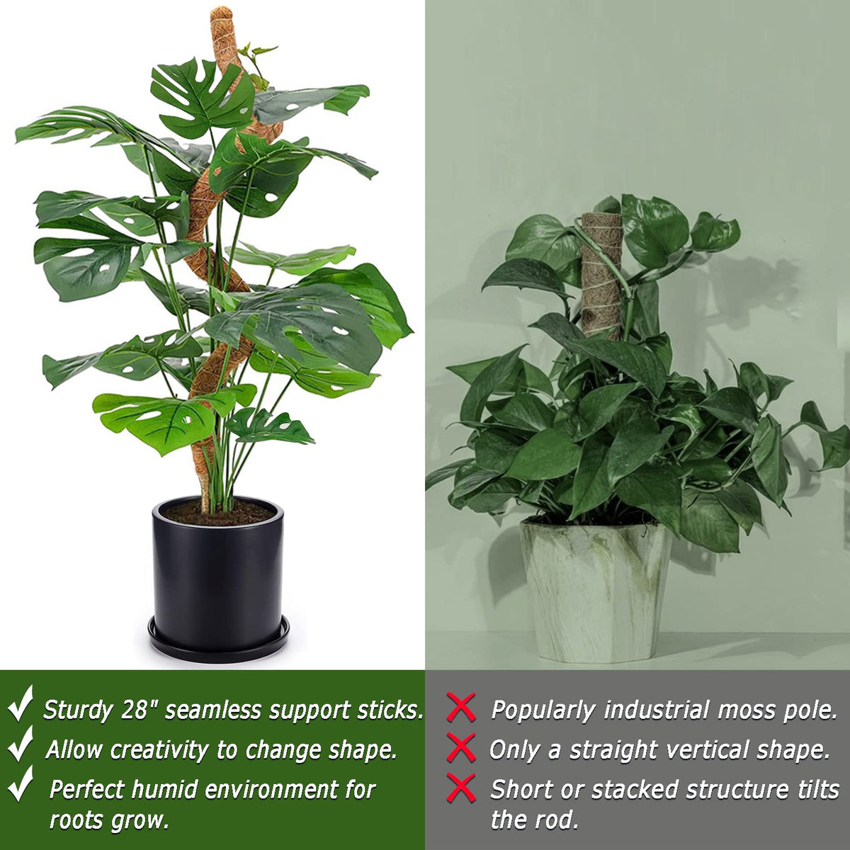 Soupiar ideal for monstera and climbing plants, helping stems climb and stabilize growth