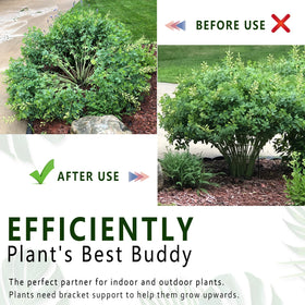 Soupiar indoor/outdoor garden stake suited for flexible plant setups.