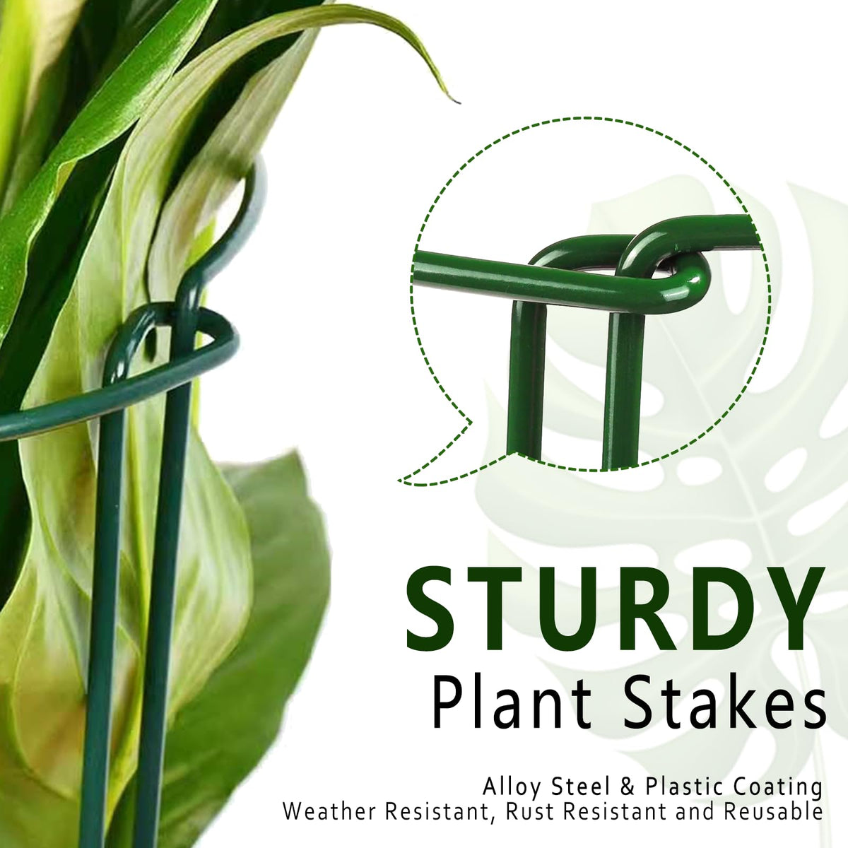 Soupiar stake shown in an indoor pot and outdoor garden setting for versatility