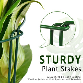 Soupiar stake shown in an indoor pot and outdoor garden setting for versatility