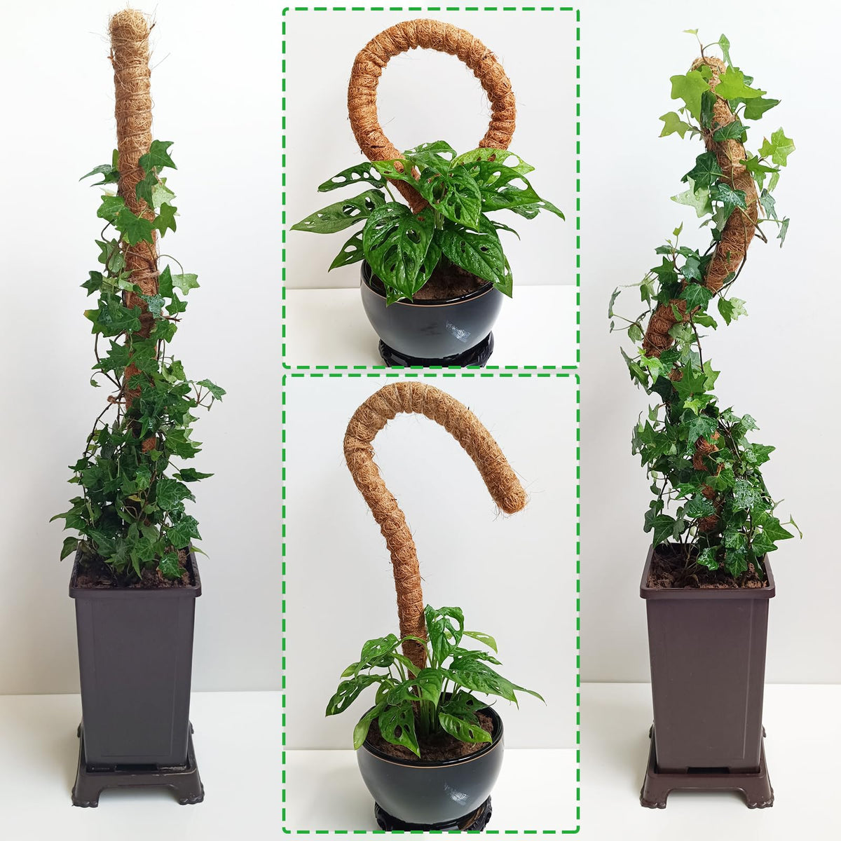 Soupiar indoor plant stakes offer sturdy support for potted climbers
