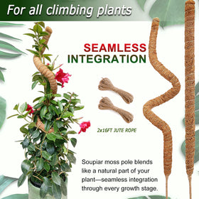 Soupiar jute rope bundle lets you tie vines without damaging stems.