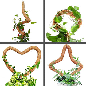 Soupiar jute rope attachment shows gentle tying for healthy growth