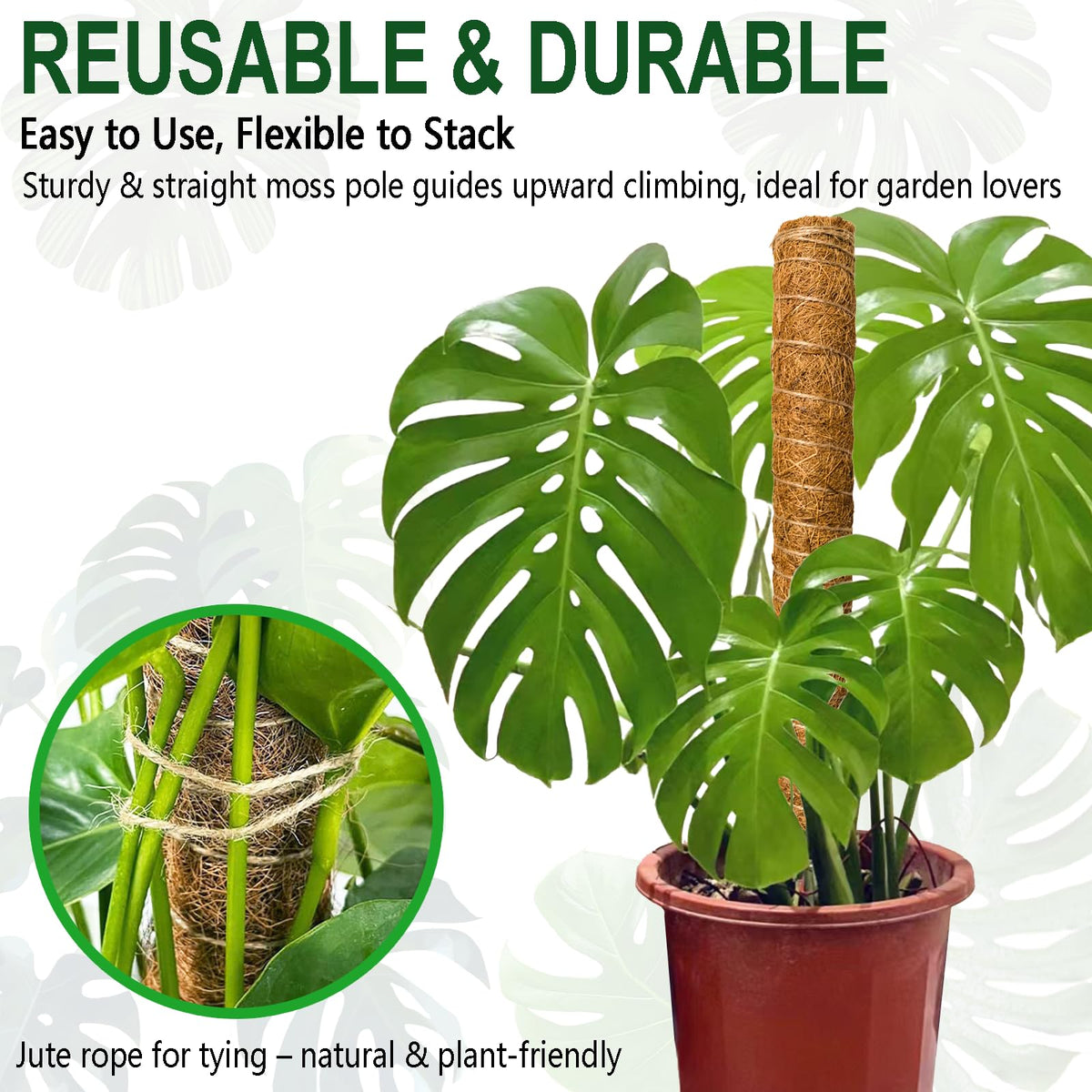 Soupiar wooden stake and jute rope for quick, tool-free setup.