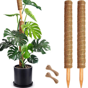 Soupiar 22-inch assembled moss pole supports sturdy indoor climbing plants.
