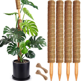 Soupiar moss pole assembly with thick coir core for secure plant support.