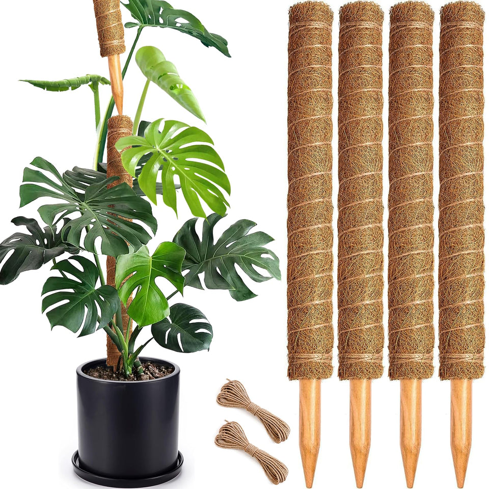 Soupiar moss pole assembly with thick coir core for secure plant support.