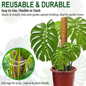 Soupiar natural coir retains moisture for healthier roots.