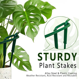 Soupiar pothos/Monstera stake use aids climbing vines indoors.