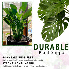 Soupiar 6-pack plant supports keep roses upright and blooms organized.
