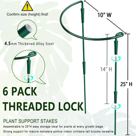Soupiar semicircular ring stake guides branches without tangling for blooms.