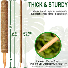 Soupiar stackable moss pole extended to 70 inches for tall vines.