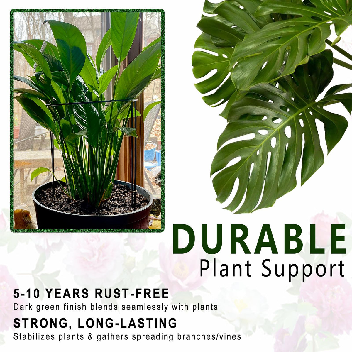 Soupiar tomato seedling support stabilizes plants during transplanting.